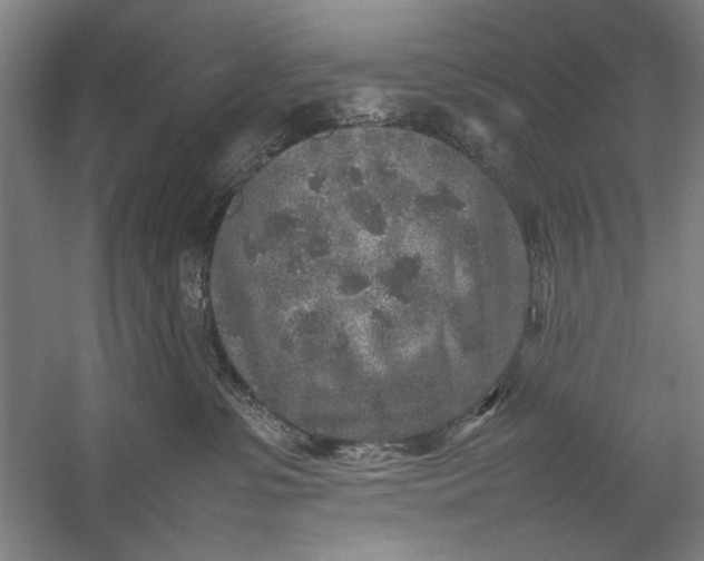 X0000054370331200508191853