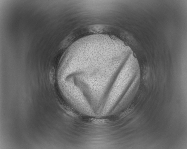 X0000054370332200508191853