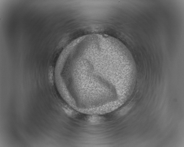 X0000054370336200508191853