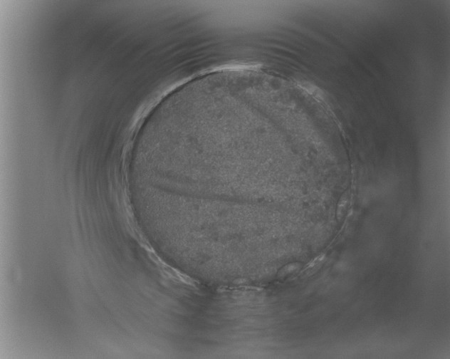 X0000054370337200508191852