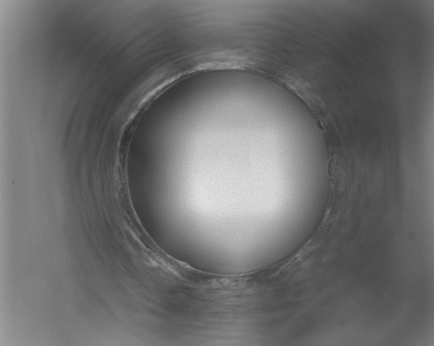 X0000054370338200508191852