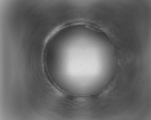 X0000054370341200508191852