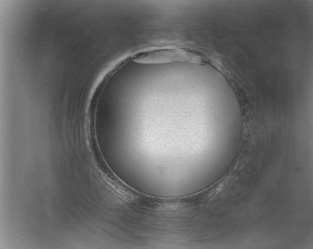 X0000054370342200508191852