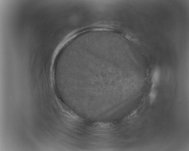 X0000054370343200508191852