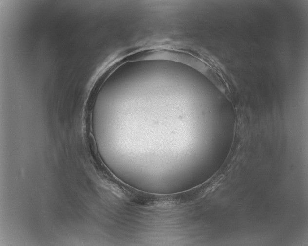 X0000054370344200508191852