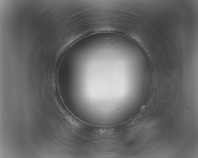 X0000054370345200508191852