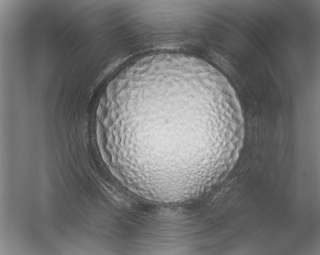 X0000054370346200508191852