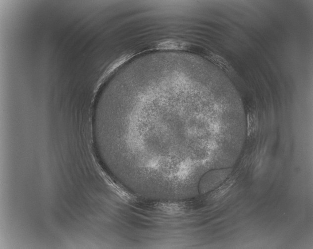 X0000054370349200508191852