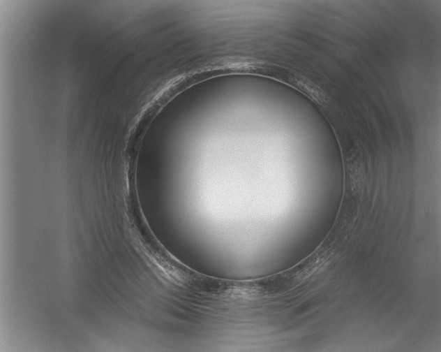 X0000054370350200508191852