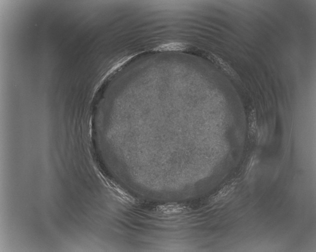 X0000054370351200508191852