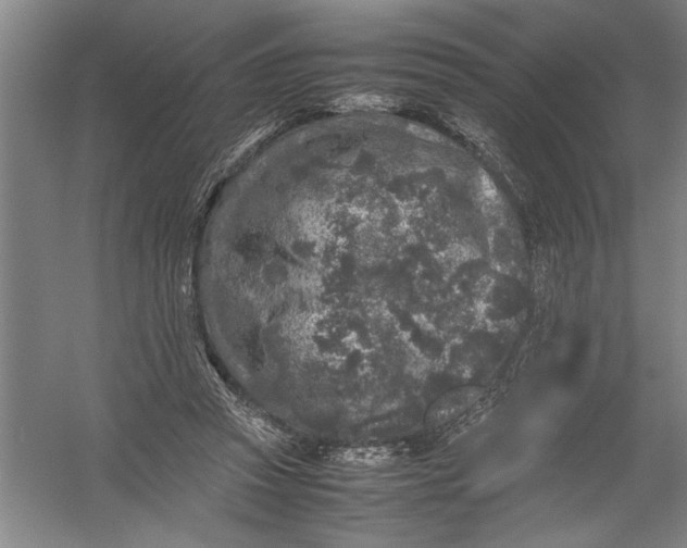 X0000054370353200508191852