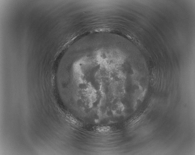 X0000054370355200508191852