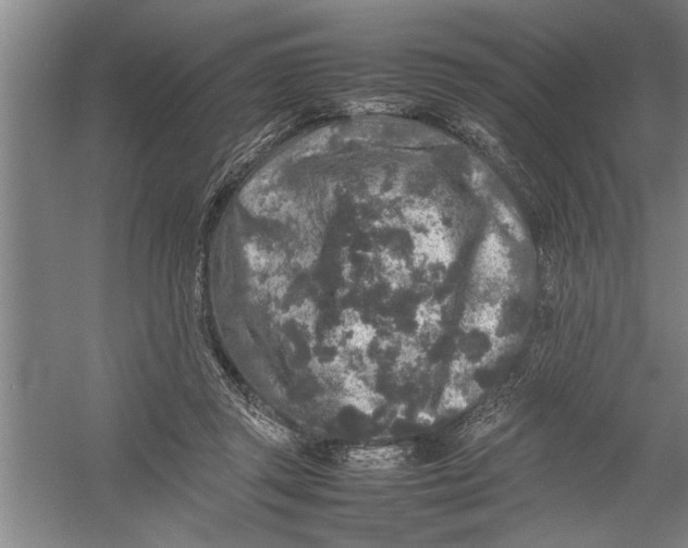 X0000054370357200508191852