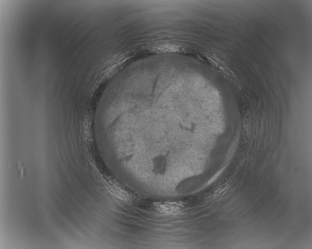 X0000054370359200508191852