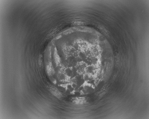 X0000054370361200508191852