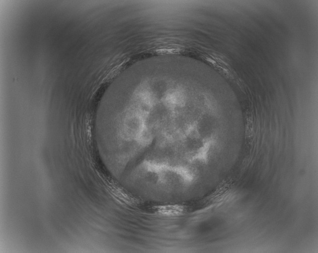 X0000054370363200508191852