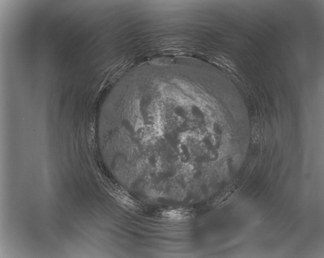 X0000054370365200508191852