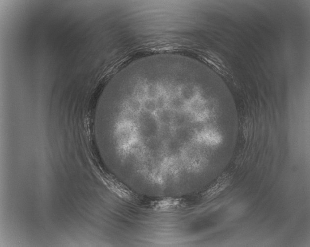 X0000054370366200508191852