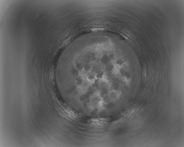 X0000054370367200508191852