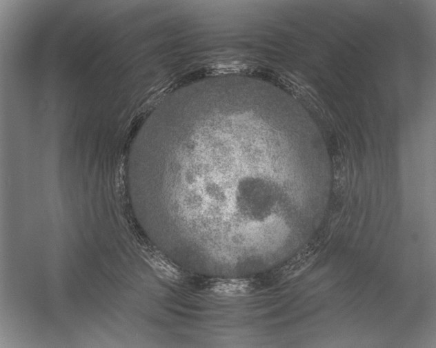 X0000054370369200508191852