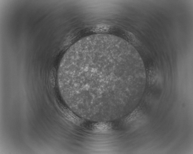 X0000054370370200508191852