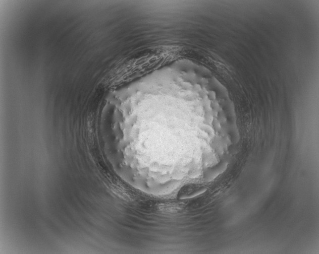 X0000054370373200508191853