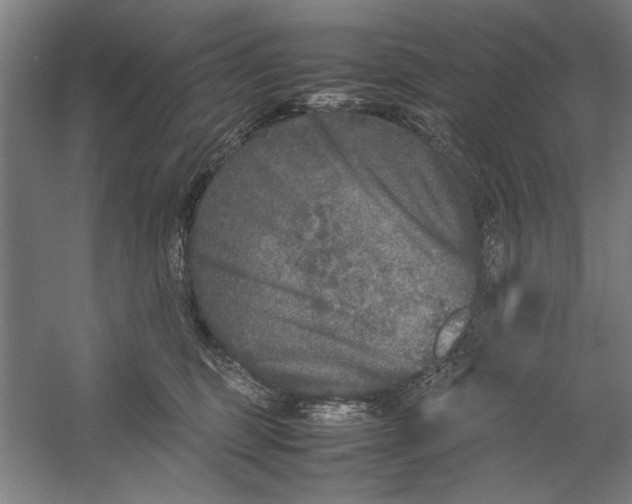 X0000054370375200508191853