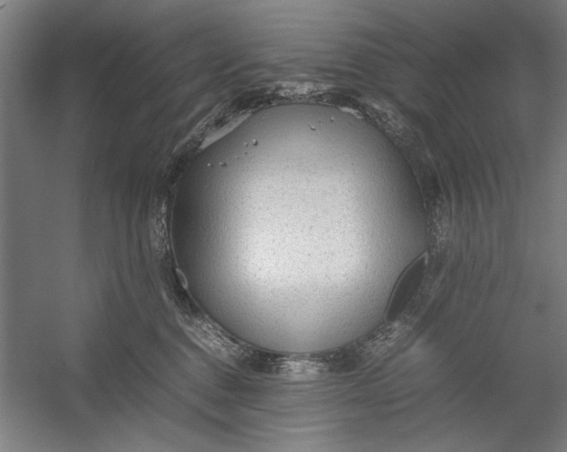 X0000054370376200508191853