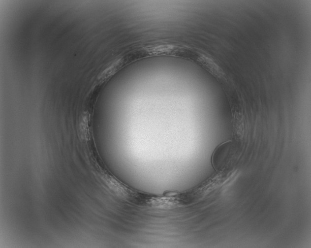 X0000054370378200508191853