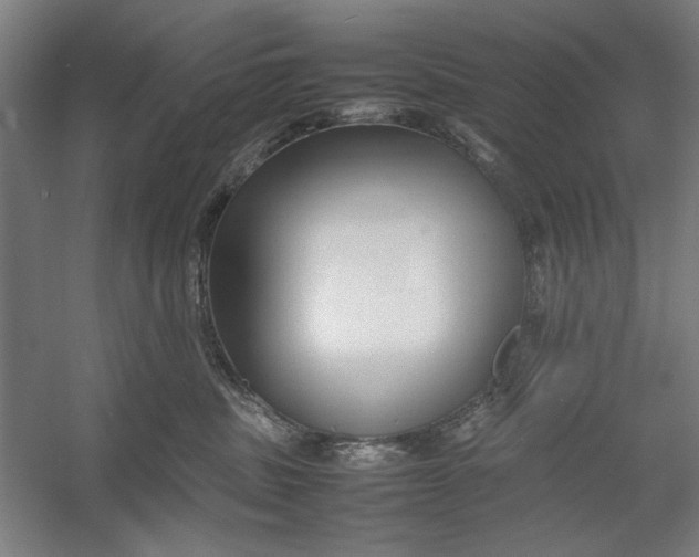 X0000054370379200508191853