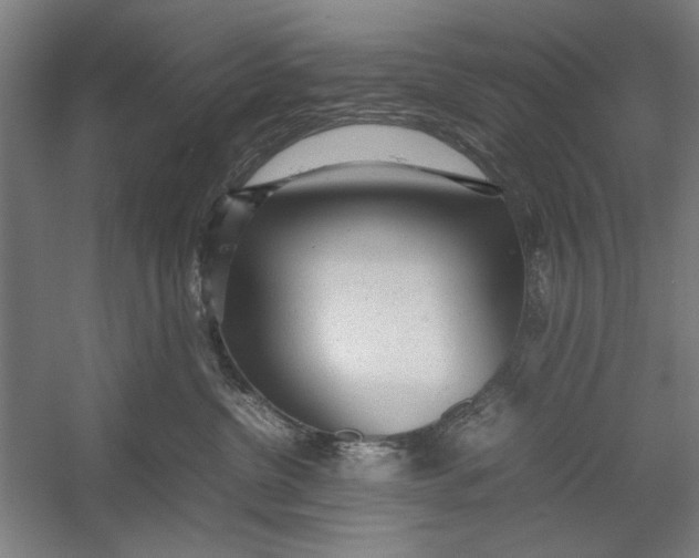 X0000054370380200508191853