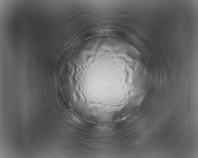 X0000054370381200508191853