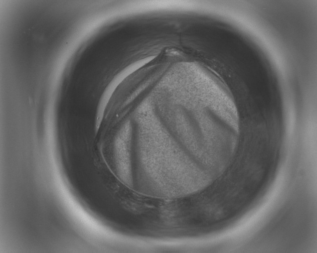 X0000054370382200508191853