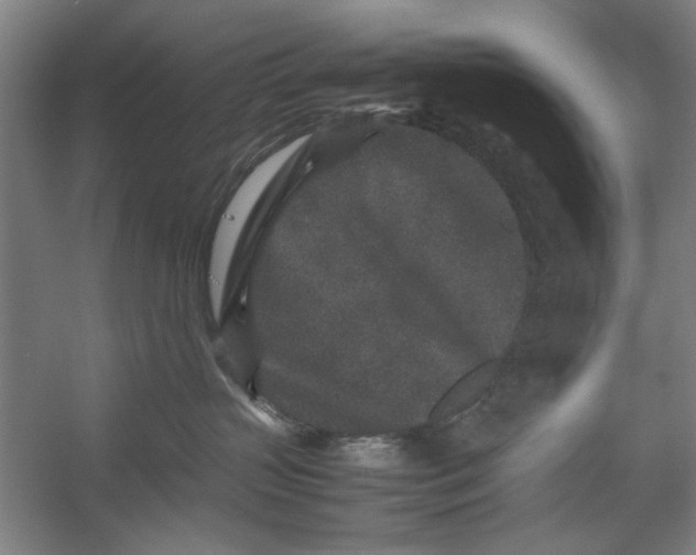 X0000054370383200508191853