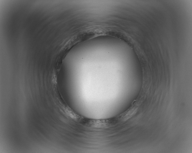 X0000054370384200508191853