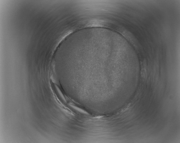 X0000054370386200508191852