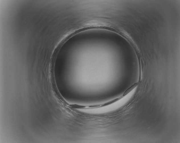 X0000054370387200508191852