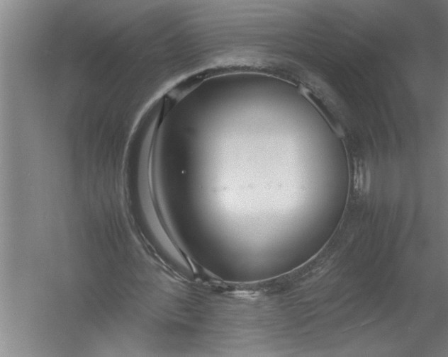 X0000054370388200508191852