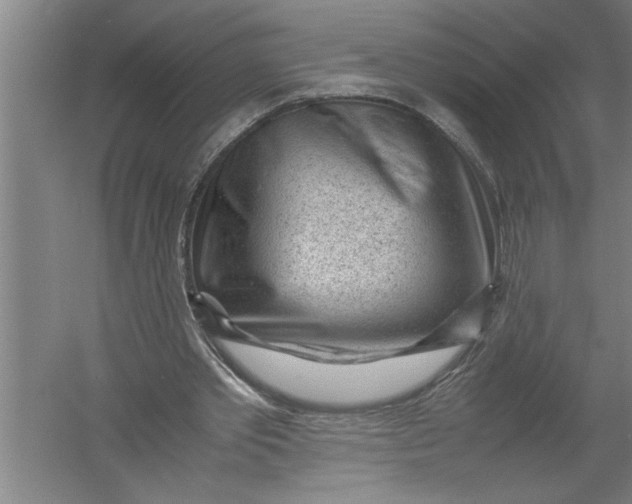 X0000054370389200508191852