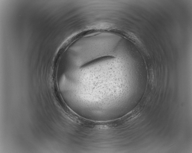 X0000054370392200508191852