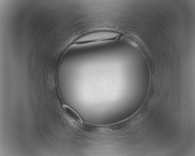 X0000054370393200508191852