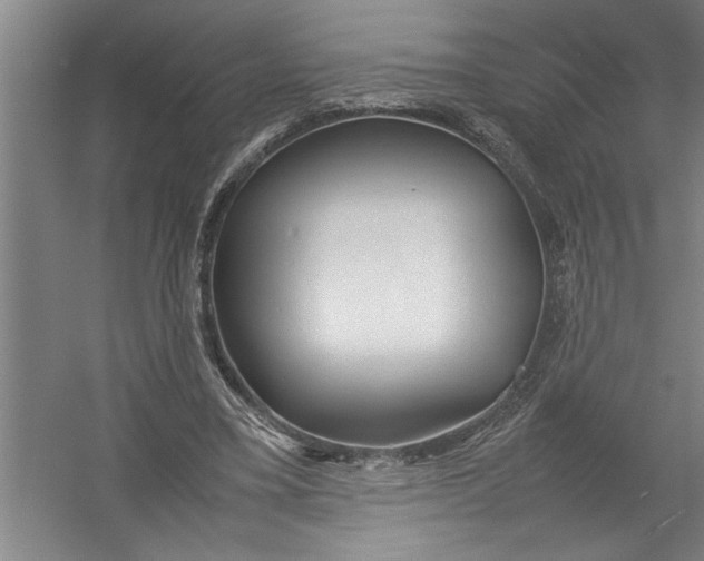 X0000054370395200508191852