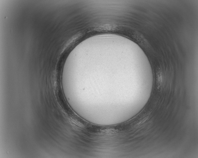 X0000054370396200508191852