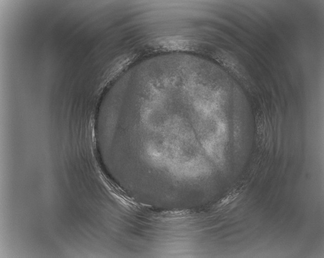 X0000054370398200508191852