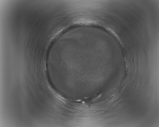 X0000054370399200508191852