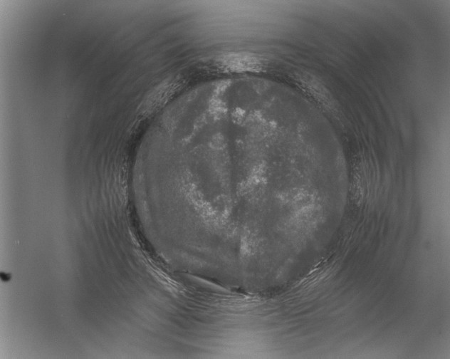 X0000054370402200508191852