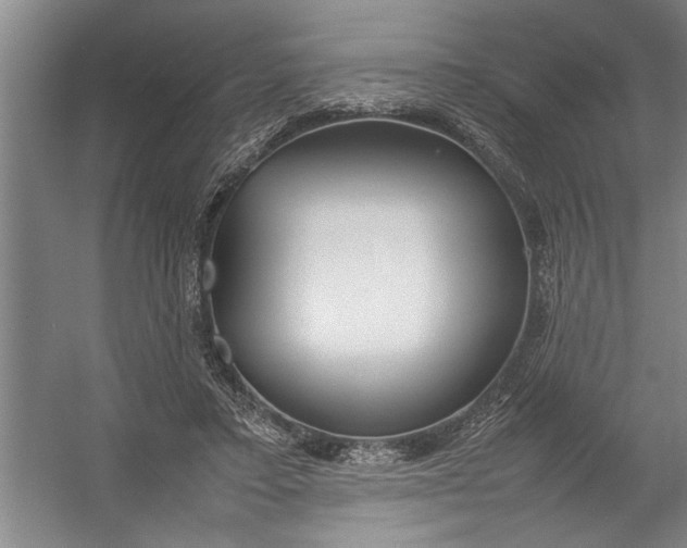 X0000054370403200508191852