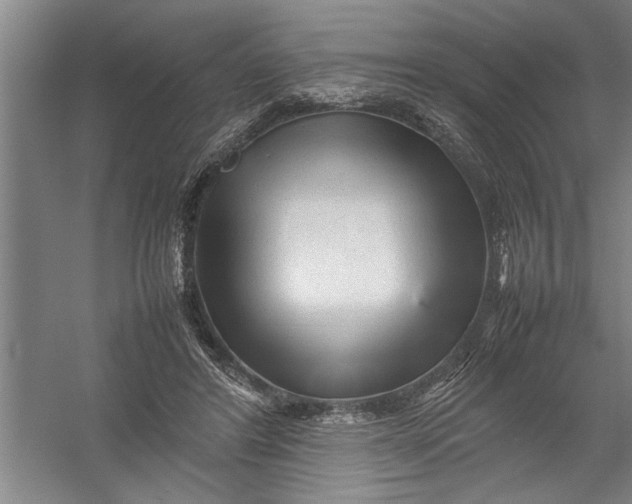 X0000054370404200508191852