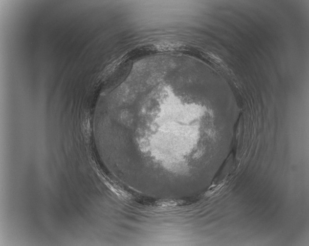 X0000054370405200508191852