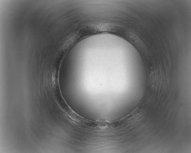 X0000054370406200508191852